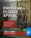 Pakistan Floods Image