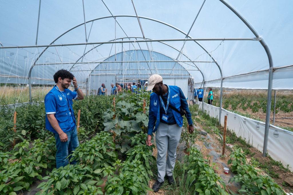 website.sale.campaign.section.block,14388