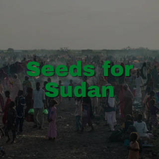 website.sale.campaign.section.block,9752